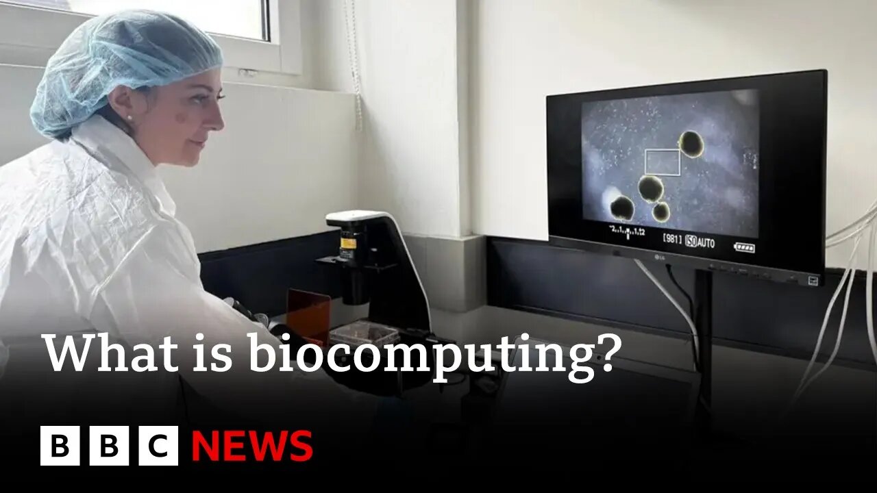 What is biocomputing? | BBC News