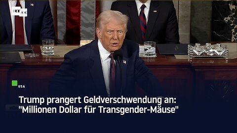 Trump prangert Geldverschwendung an: "Millionen Dollar für Transgender-Mäuse"