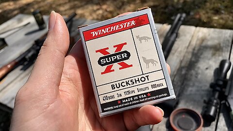 Winchester 3” .410 5 Pellet 000 Buck Range Test