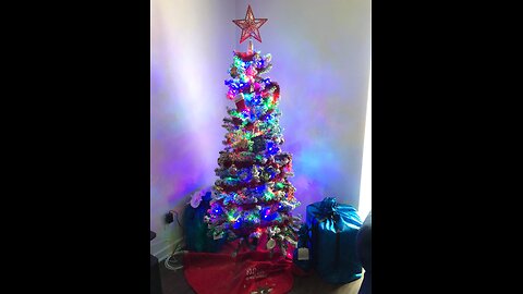 ON A WING AND A PRAYER - 12062025