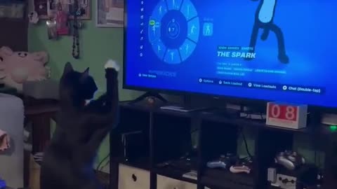 representation matters