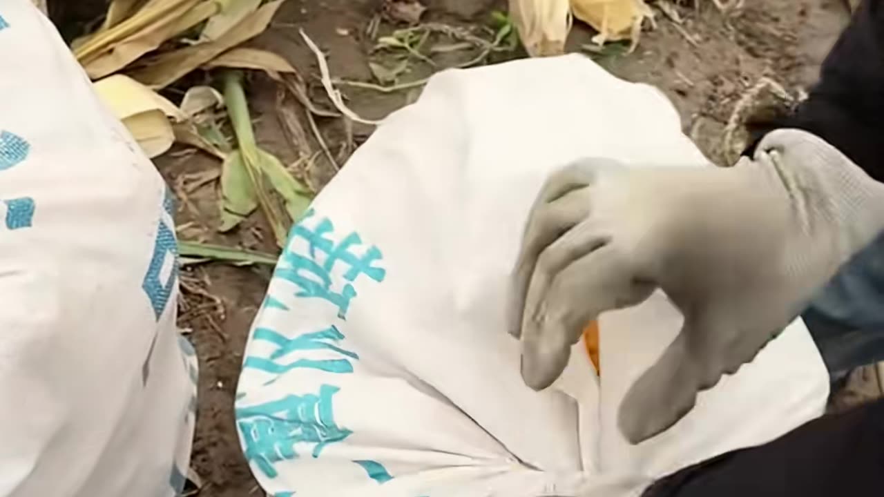 💡✨ Discover This Great & Useful Trick! | LifeHacksDaily