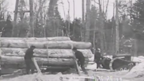 [LUMBERING] - [LUMBERING] - fc-fc-497