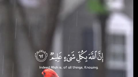 🔥 Surah Al-‘Ankabūt 29:62 — سورة العنكبوت ⚡🤍💰#love #Quran #Viral #shorts #trending #YouTubeShorts