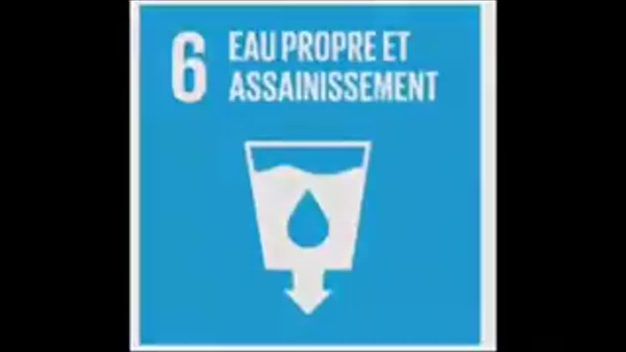 Les 17 vrais objectifs de l’agenda 2030 du WEF 🧐