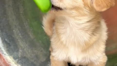 💡✨ A Clever Hack You'll Wish You Knew Sooner | LifeHacksDaily