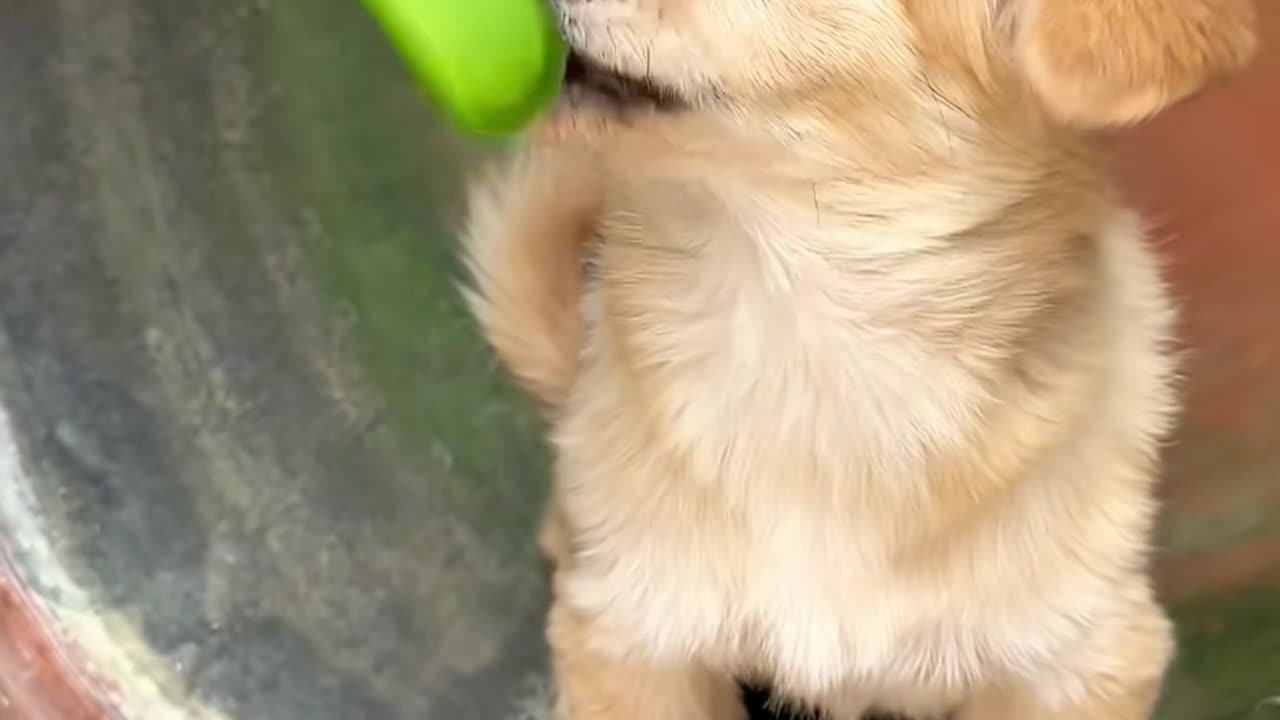 💡✨ A Clever Hack You'll Wish You Knew Sooner | LifeHacksDaily