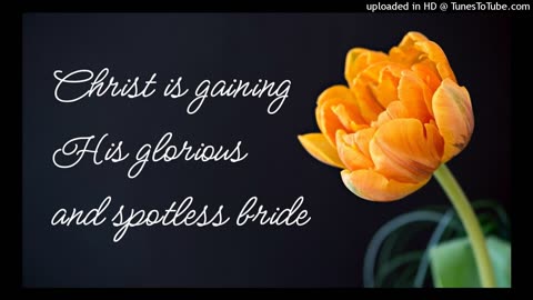 Christ is gaining His glorious and spotless bride