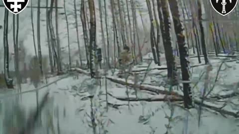 Ukrainian FPV drones destroy camouflaged Russian infantry deep in the Serebryansk forest