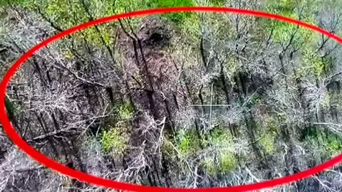 Ukraine war combat /related footage 11/16/2025