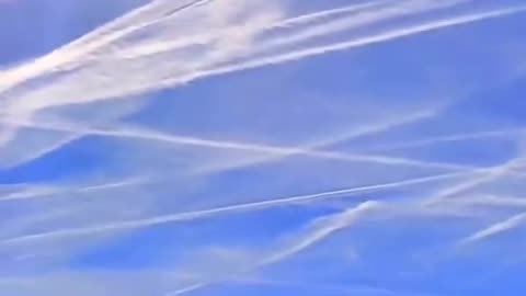 Scientific peer reviewed studies - Bees are testing with 70 times more aluminum in their bodies.