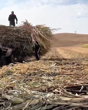 Hard work is the answer!