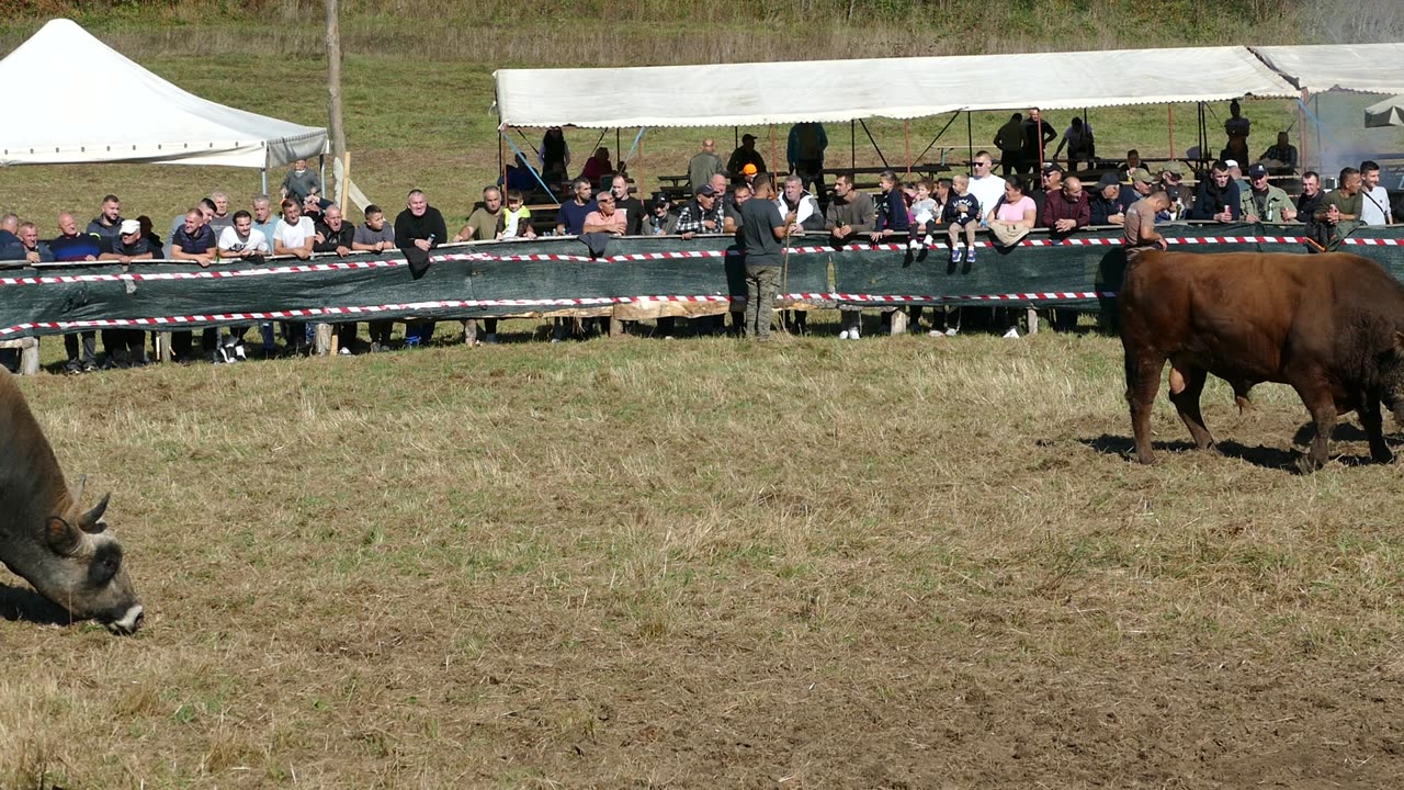 Macan od Delića vs Rogeša od Hafizovića Ramići 2025