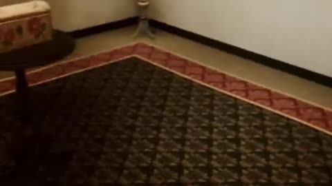 Inside The Backrooms Funny Moments | #insidethebackrooms #horror #horrorgames