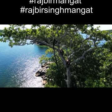 Blogger_Monkey_Roams_Kingston_Islands