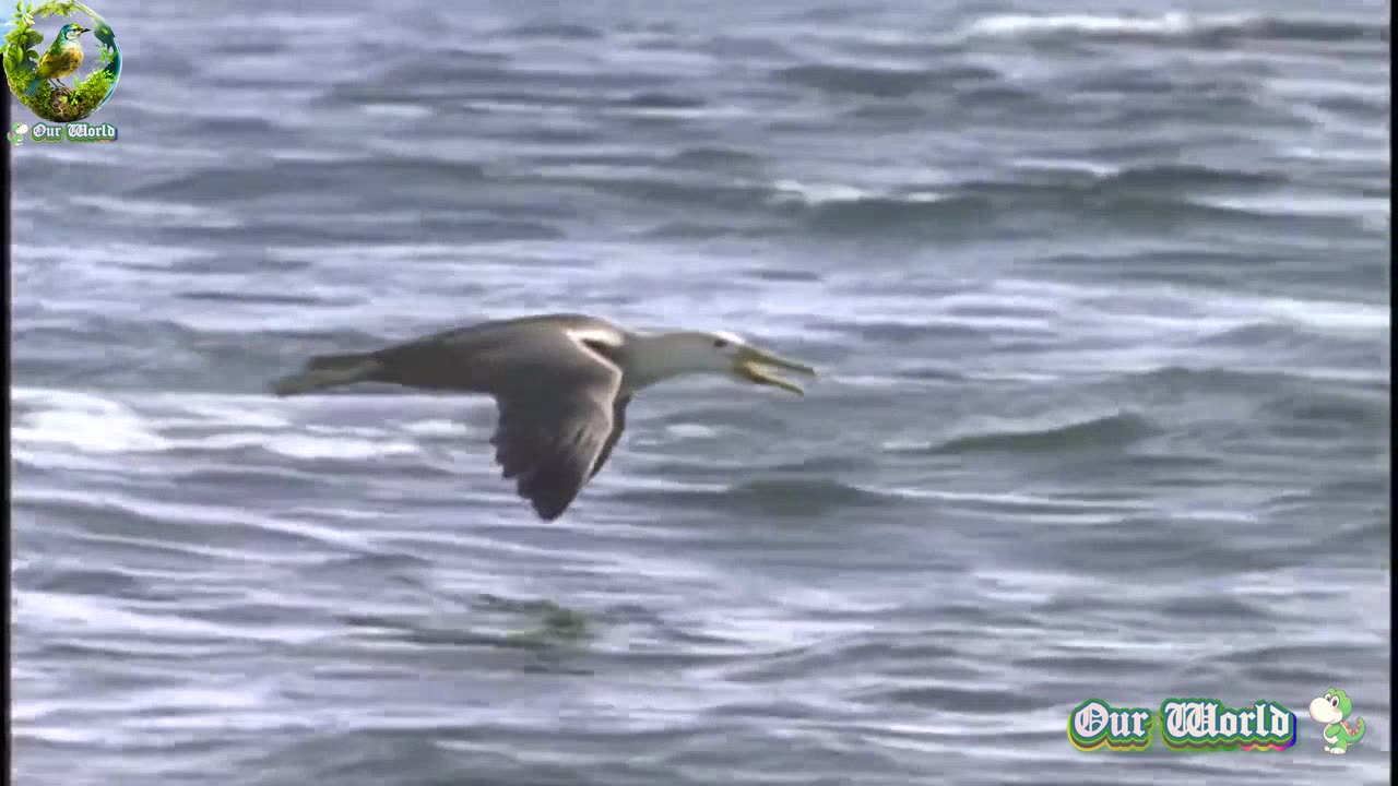 TakeOff Mode - Original Flight
