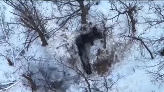 Ukraine war combat/related footage 2/4/2026 *see description