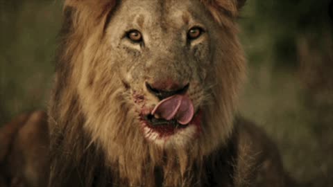 PLEASE SHARE THIS ONE!! Where have all thous missing CHILDREN been going exactly???