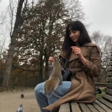 🕊TRUST - Just Wonderful 🦜🐿🕊 Reloaded from STFN