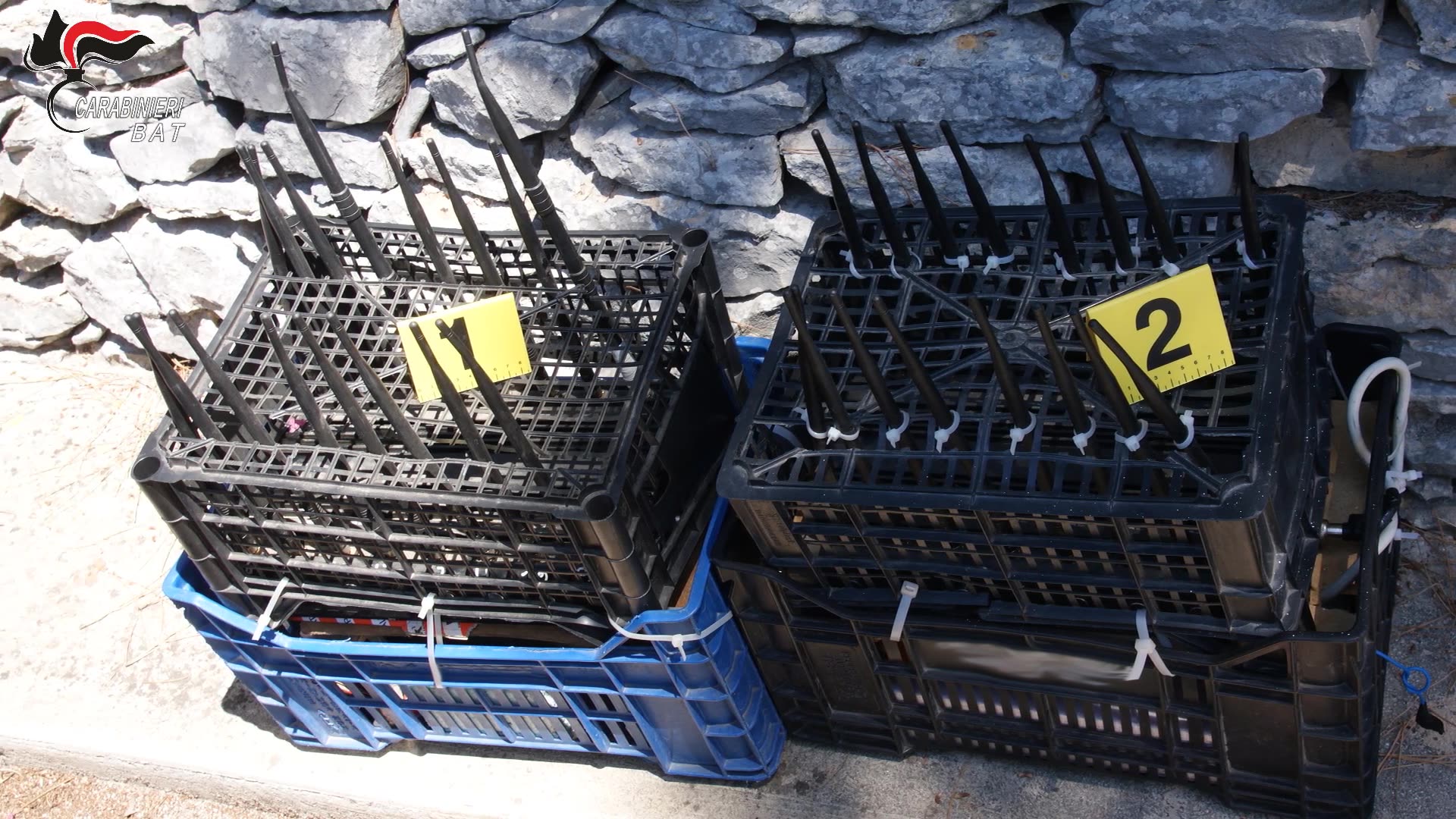 Rapine armate ad autotrasportatori con sequestro di persona: arresti tra la Bat ed il barese