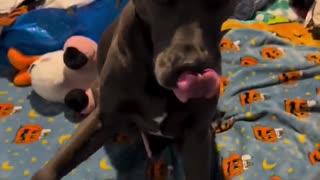 😂😂 Glad He Didn't Overreact! | FunFM