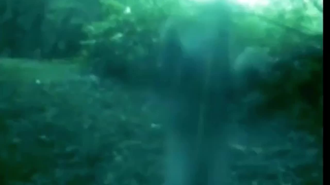 [10/14/2019] Cyraxx's reaction when approached by a woman his age