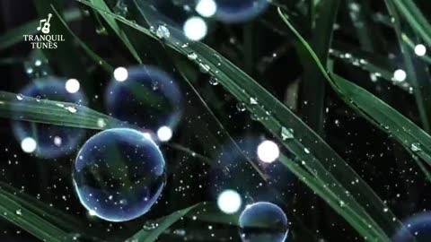 Relaxation Music Natural Sound Brain Therapy, Sleep Relaxation, Difficulty Focusing and Stress