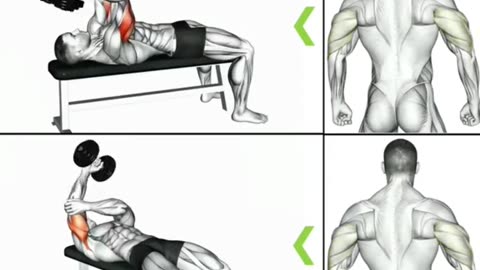 No More Small Arms! Try This Triceps Gym Workout 😳