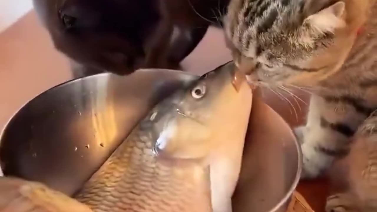 When the person you're crushing on actually shows interest in you