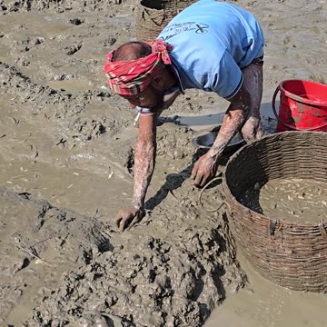 Doba Fishing Secrets EXPOSED in Bangladesh