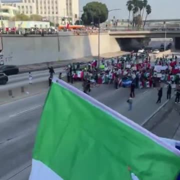 LAPD in standoff with anti-ICE protesters blocking freeway