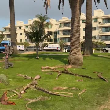 Much different scene here 24 hours later standing in the same spot in Palisades Park on ....