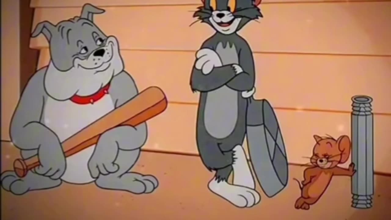 Tom & Jerry not Tom vs jerry