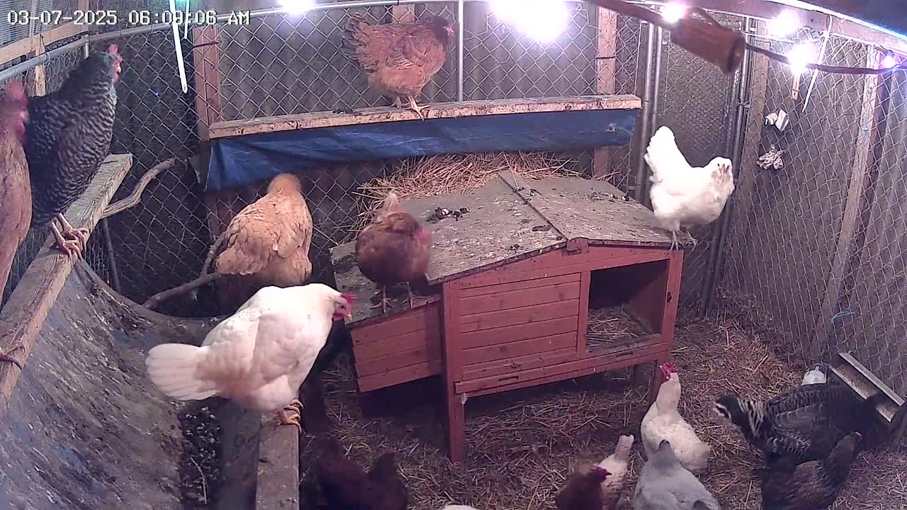Happy Friday Morning!