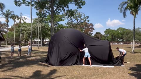 Gender Reveal in an Inflatable Sphere
