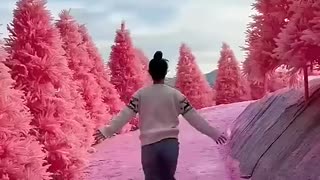 Breaking: best places on earth #youtube#viral#short#video