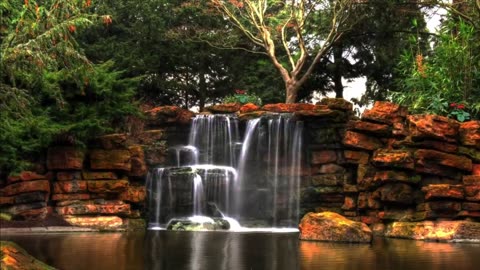 The New Testament (No A.I.)