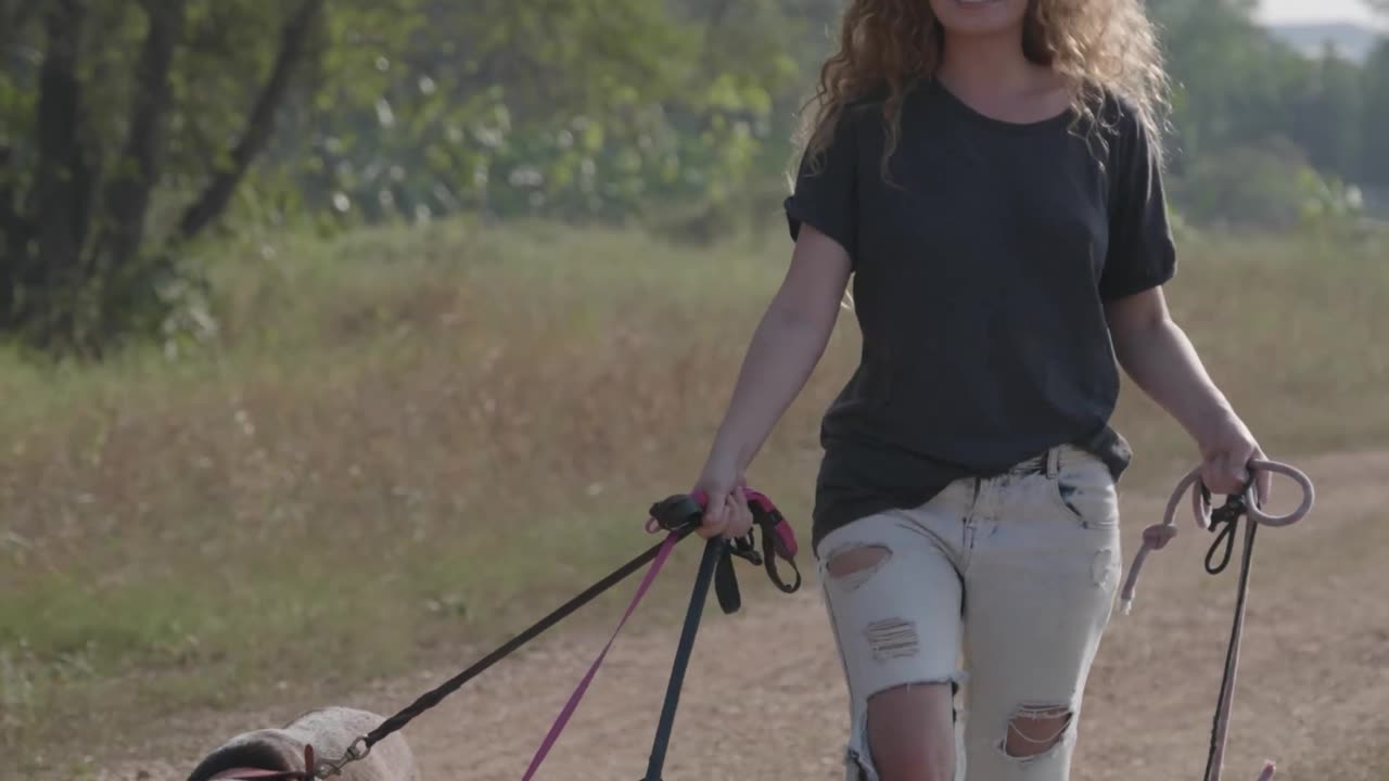 Are You Exploring Denver’s Most Dog-Friendly Parks?