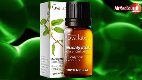 Olio essenziale di eucalipto un alleato naturale per la salute degli adulti