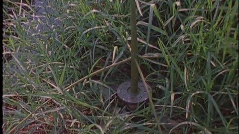 DEFEND THE NIGHT - DEFEND THE NIGHT - gov.archives.arc.63062