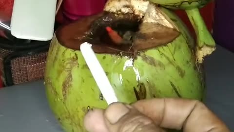 Coconut Fishing