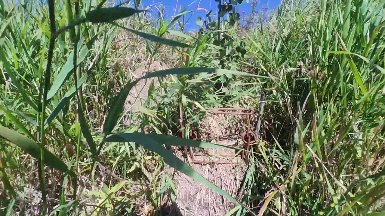 September 16, 2025 - River Trapping ADC Beavers