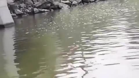 😂💦 That Water Looks Kinda Shallow Too! | FunFM