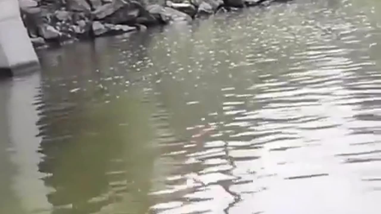😂💦 That Water Looks Kinda Shallow Too! | FunFM