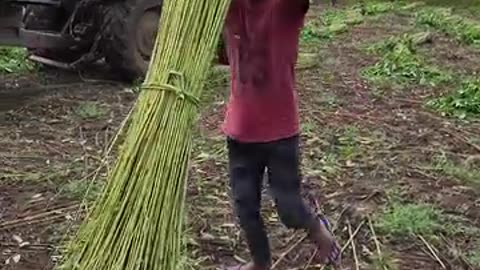 "Behind the Scenes: The Ultimate Jute Bag Manufacturing Process in India | How Jute Bags are Made!"