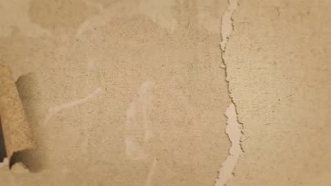 01-12-26 Dr. Constantine Hering’s Homeopathy Kit [Practical Homeopathy®]