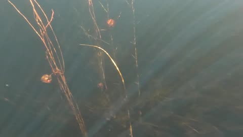 Underwater Adventure