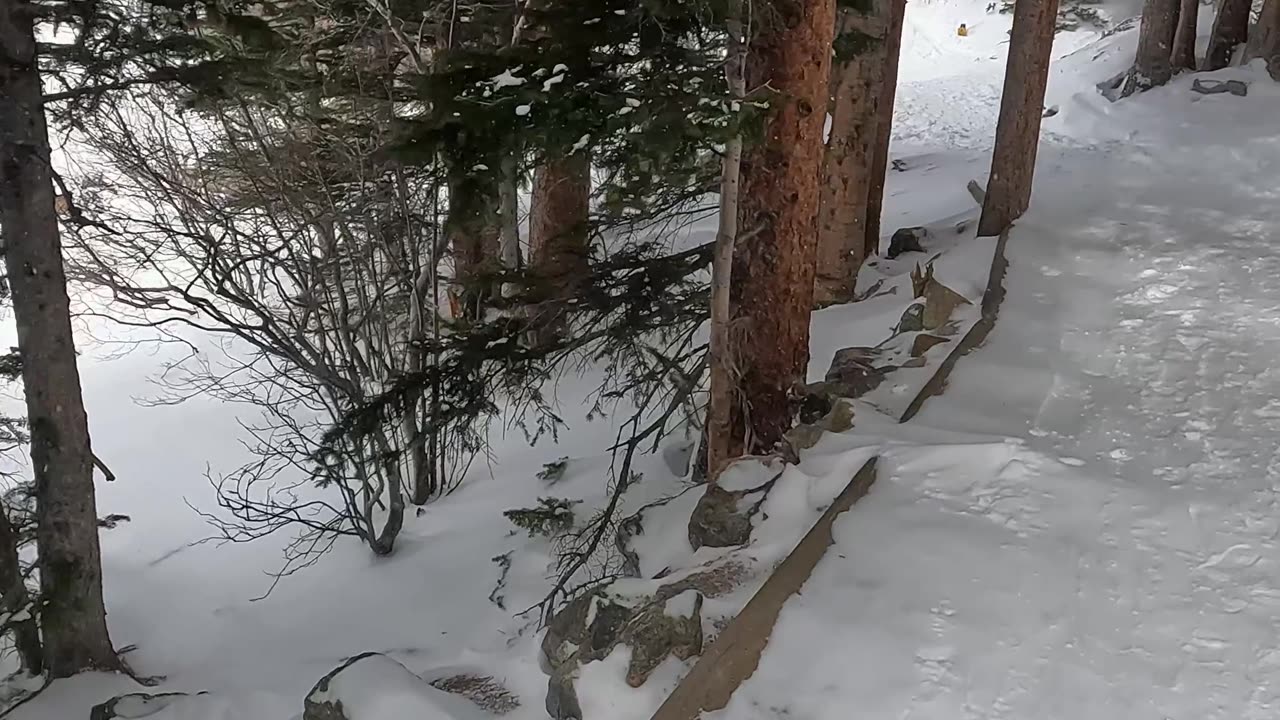 Snow storm in the Rockies