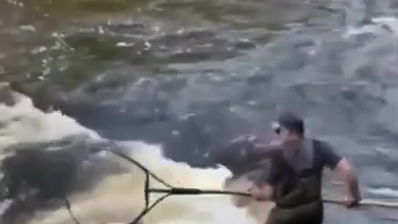 😍Fish Catching the Easy Way