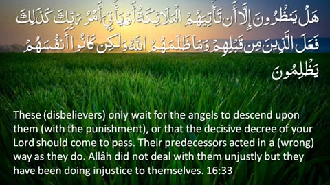 Surah_16_-_An-Nahl__🔊_ENGLISH_ONLY_Recitation_with_Arabic_Subtitles._Nature_Backgrounds(0)